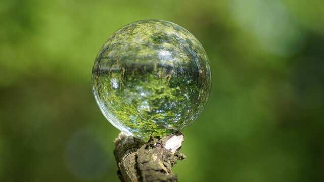 Glass Lens Crystal Photographic Sphere Ball showing magnified and inverted images in Bluebell woods