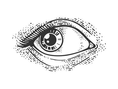 Woman eye sketch raster illustration