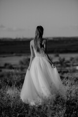 Bride and groom at a photo session in the nature