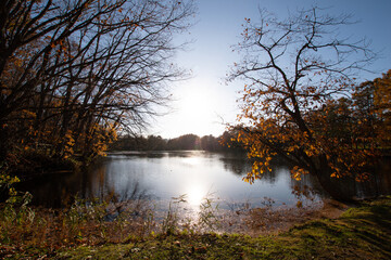 秋　紅葉　風景