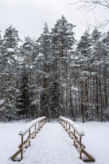 Haukkalampi pond view in winter, snowy trees and wooden bridge, Nuuksio National Park, Espoo, Finland