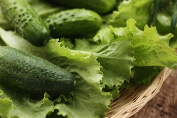 Cucumbers lettuce and dill on the table macro