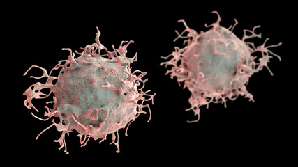 Skin cancer cells