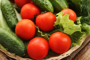 Cucumbers tomatoes and dill for salad macro 