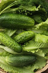 Cucumbers lettuce and dill on the table macro