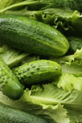Cucumbers lettuce and dill on the table macro