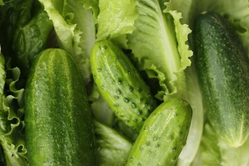 Cucumbers lettuce and dill on the table macro