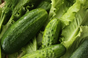 Cucumbers lettuce and dill on the table macro