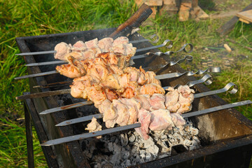 juicy pieces of meat strung on shompura grilled