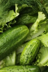 Cucumbers lettuce and dill on the table macro