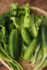Cucumbers lettuce and dill on the table macro