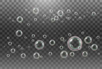 Air soap bubbles on a transparent background .Vector illustration of bulbs.
