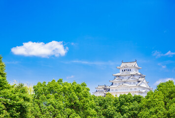 Naklejka premium 世界遺産 姫路城