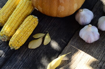 Pumpkin, corn, garlic, yellow autumn leaves on an old wooden background. Autumn harvest. Thanksgiving.