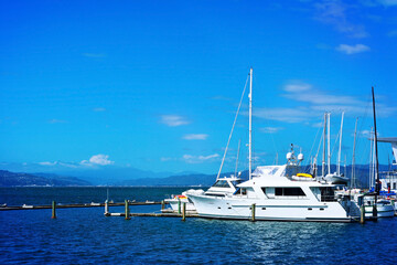 Fototapeta premium Deep blue waters of Wellington Harbour with sailing boats moored at wooden bollards. Wellington, New Zealand. Selective focus