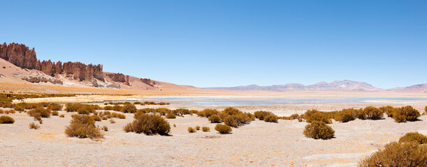 Atacama. North of Chile