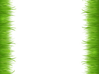 light green animation grass herb lawn and fresh bright grass lawn pattern textured on white.