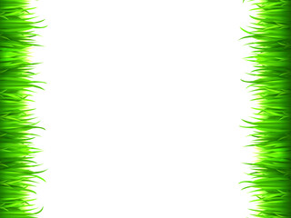 green animation grass herb lawn and fresh bright grass lawn on side pattern textured on white.