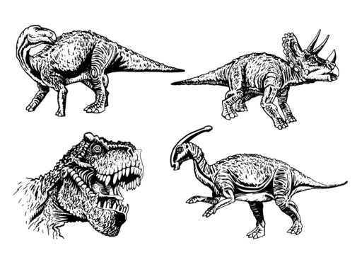 Vector set of dinosaurs isolated on white , elements for printing,graphical illustration