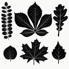 Vector illustration of black leaves of different trees on a white background.