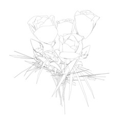 Contour with roses from black lines on a white background. Side view. Vector illustration