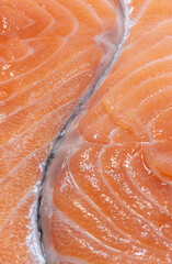 closeup image of salmon fillets