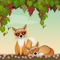 illustration of foxes under the grapes