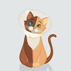 illustration of cat spayed