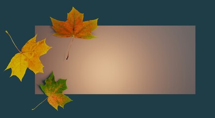 autumn background with frame. autumn maple falling three leaves 3d render