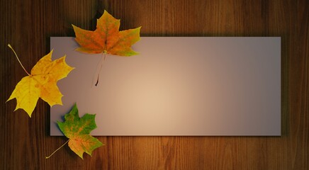 Naklejka na ściany i meble autumn background with frame. autumn maple falling three leaves