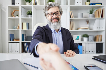 Point of view shot of shaking hands in agreement with stylish mature man in modern office