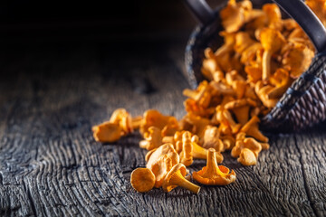 Raw chanterelles mushroom on wood scattered from a wooden wicker basket © weyo