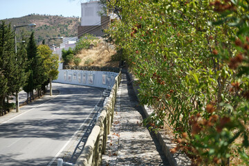 Landscape in Portugal's Alantejo photographed in summer