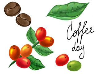 Coffee. Grains, on a branch, leaves, individual beans and the inscription 
