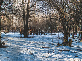 little snow on a clear winter day in the forest, Moscow