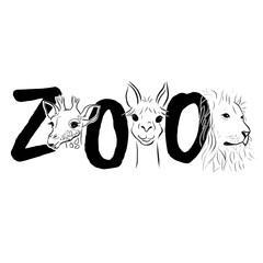 Set of footprint, vector illustration 