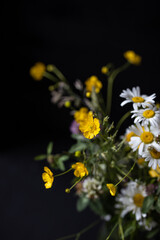 Beautiful bouquet of wildflowers. Dark background