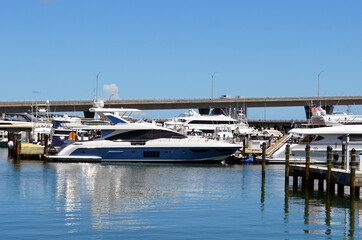 Fototapeta premium Small blue and white motor yacht moored at a marina on the downtown Miami,Florida waterfront.