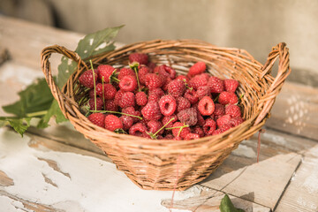 Vintage basket with raspberries