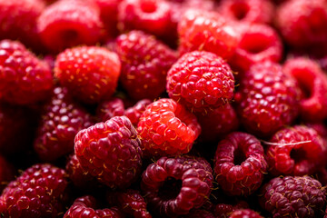 Fresh and sweet red raspberries texture. fruit pile background
