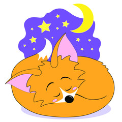 Sleeping fox under the stars and the Moon