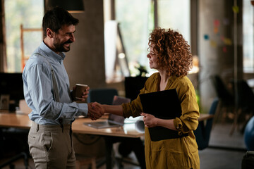 Colleagues in office. Businesswoman and businessman handshake in office...