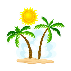 Palm Trees Growing on California Sea Shore Vector Illustration