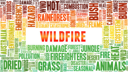 Wildfire vector illustration word cloud isolated on a white background.