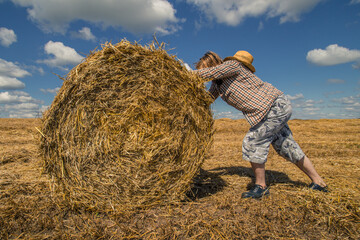 Naklejka na ściany i meble A young bearded man in cowboy hat with wheat roll