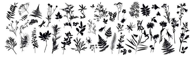 Keuken foto achterwand Aquarel natuur set Set of silhouettes of botanical elements and insects. Herbarium. Grass, flowers, wild plants. Beetle, lizard, dragonfly. Vector illustration on white background