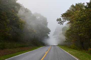 Road to the forest in a foggy morning in autumn foliage