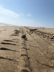 tire marks