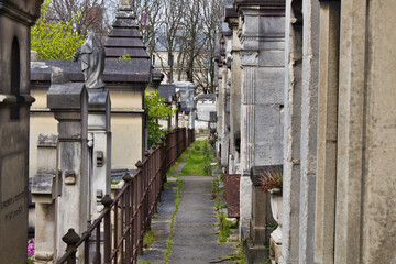graveyard in the cemetery in paris
