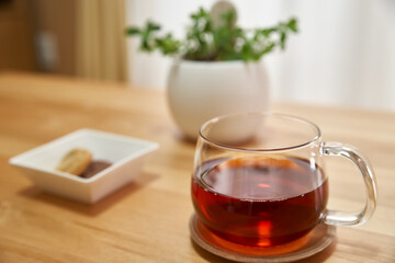 リビングで過ごす午後_紅茶とクッキーと観葉植物